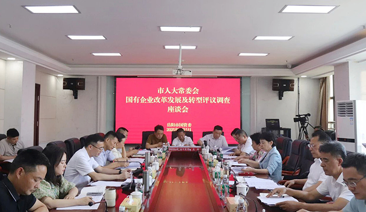 國有企業(yè)改革發(fā)展及轉(zhuǎn)型工作評議調(diào)查座談會舉行