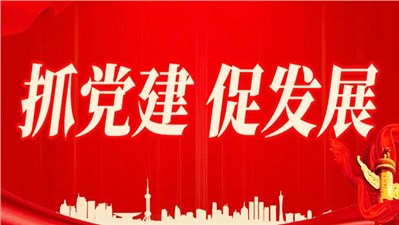 支部優(yōu)化強(qiáng)根基 黨建煥發(fā)新活力