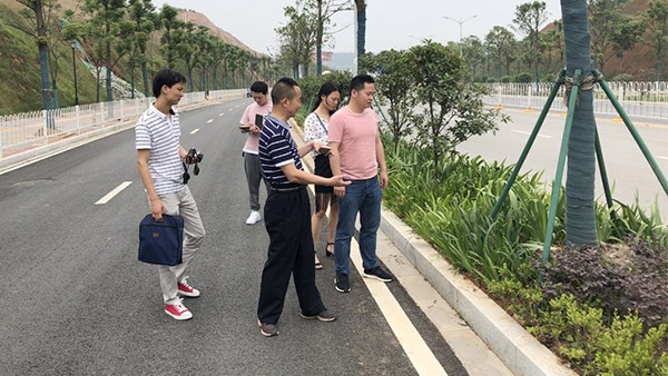 市園林局領(lǐng)導(dǎo)一行調(diào)研公司趕山東路綠化工程項目