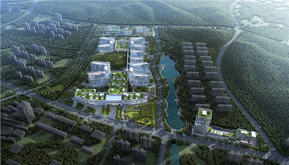 岳陽市中心醫(yī)院暨配套工程項(xiàng)目正式開工建設(shè)