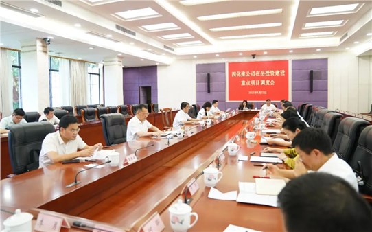 市交投集團深入貫徹落實曹普華書記在四化建公司在岳投資建設(shè)重點項目調(diào)度會會議精神工作實錄