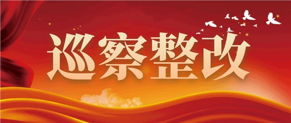 【巡察整改】中共岳陽市城市運營投資集團有限公司委員會關(guān)于八屆市委第二輪巡察整改進展情況的通報
