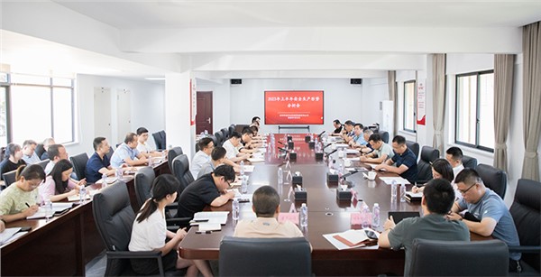 集團(tuán)召開2023年上半年安全生產(chǎn)形勢分析會