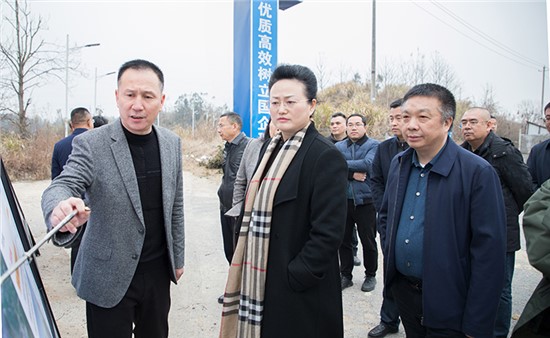 魏淑萍實地調研G353岳陽東站至洞庭湖大橋公路工程項目